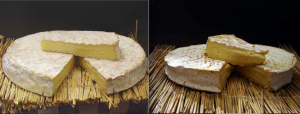 Foodette-Brie de Meaux et de Melun