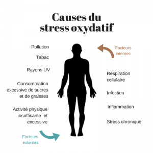 schema-causes-stress-oxydatif